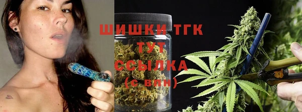 дживик Баксан