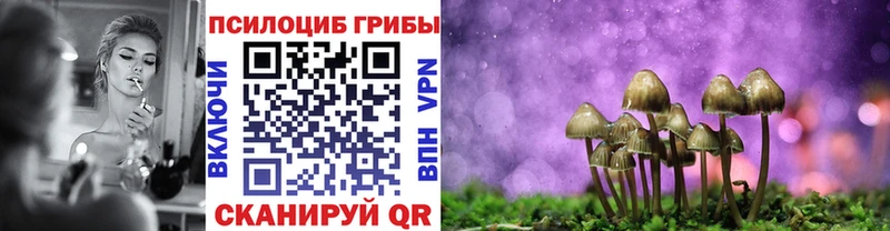 Псилоцибиновые грибы ЛСД  купить наркотики цена  Оса 